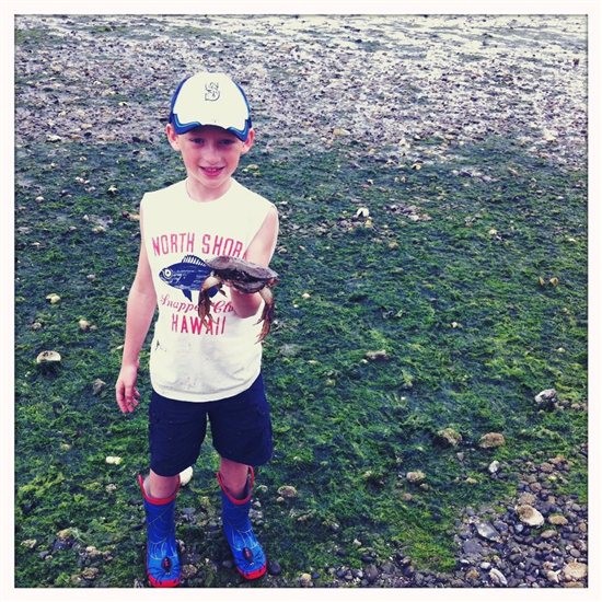 Boy holding a crab